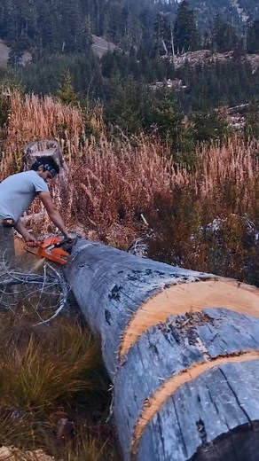 Noah Parry on TikTok