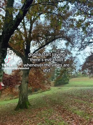 lua_moon_star (@lua_moon_star)’s videos with original sound - lua_moon_star