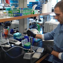 Video: A Deep-sequencing-assisted, Spontaneous Suppressor Screen in the Fission Yeast Schizosaccharomyces pombe