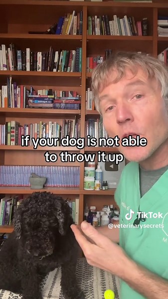 Dog Heimlich Maneuver: Save Your Choking Pet