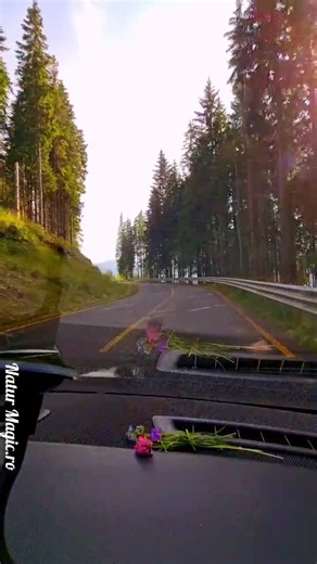 426K views · 10K reactions | Priviți cât de frumos poate fi pe drumul Transalpina, România ❤️ Mai ales cu această Priceasnă pentru suflet, cântată de Marioara Man Gheorghe. | Natur Magic.ro | Facebook