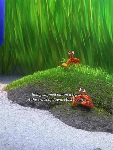 #findingdory #comedy #adventure