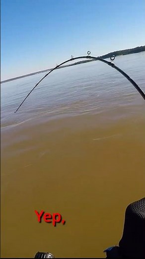 Big James River Catfish