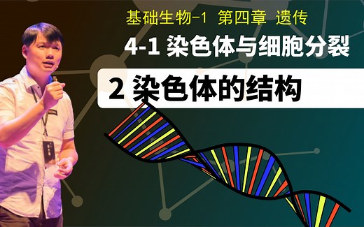 基础生物学4-1.2 染色体的结构