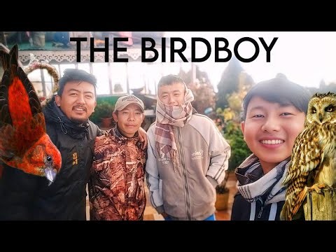 Th Birdboy: EP12 - The Red Crossbill and the Ghost of Tonglu