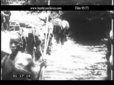 Teddy Roosevelt's 1909 Kenyan Safari. Archive film 95173