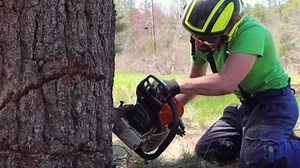 Powerful Machinery for Modern Timber Processing Operations