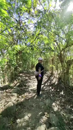 M's Collection on TikTok