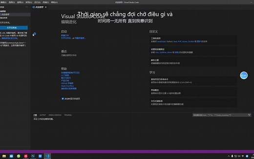 汉化vscode（Visual Studio Code）及安装python