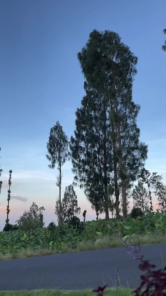 why.4n4nxyy.’ on TikTok