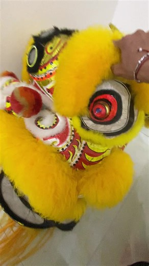 Biểu diễn đầu lân và nghệ thuật LSR đường phố