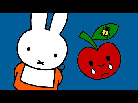 Why is the apple sad? | MIFFY CLASSIC | Cartoons for children