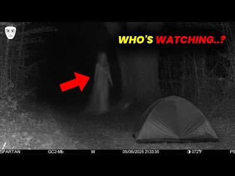 100 Most CHILLING Moments Ever Captured in Remote Forests | Mega Comp V65
