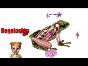 MATERIAL GENETICO