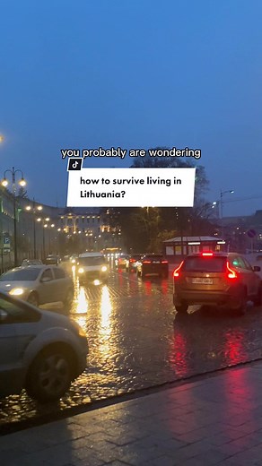 Surviving Life in Lithuania: Insights and Tips