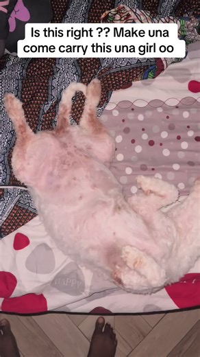 sonia_andsnow lifestyle on TikTok