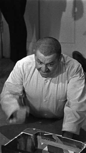 The Three Stooges will be music to your ears! | The Three Stooges