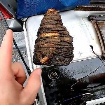 I FOUND a Strange Package Tied to a Rock!