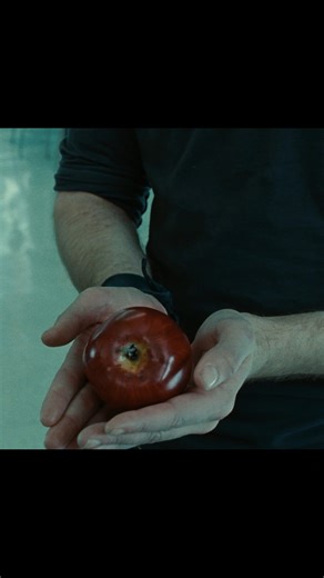 You better hold on tight, spider monkey. The #Twilight Saga is streaming January 1 on HBO Max. | HBO Max