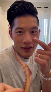 5.6K views · 217 reactions | Pop Quiz for Squid | Hungry OC | Facebook