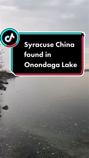 You can find tons of #Syracuse China in Onondaga Lake in Liverpool, NY. #fy #fu #foryou 🍽