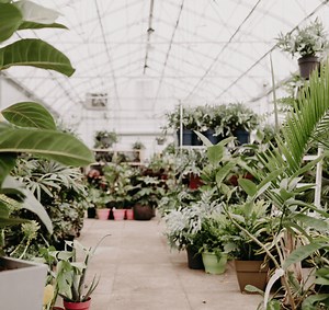 Down to Earth Nursery