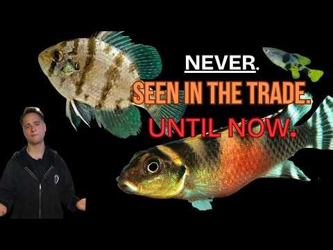 Top 3 This Week: The Rarest Fish We've Ever Stocked