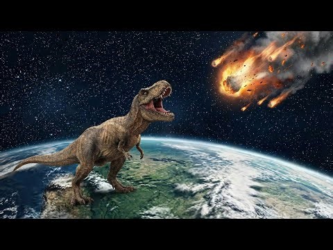 The True Origin of Humans After the Dinosaurs Went Extinct!