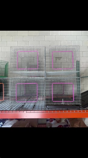 🐇 Just in Time for Show Season! 🐇 Get your rabbits show-ready with our single, double, and triple rabbit cages — all in stock now! Perfect for show projects or home setups — durable, easy to clean, and ready to go. Stop by Laredo Ranch Heights for Good Honest Service and everything you need for your show animals! #LaredoRanchHeights #GoodHonestService #showtime 📍2215 Laredo Street, Laredo, TX 📞 (956) 723-8081