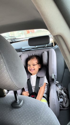 Dancing Vegetables TikTok Compilation