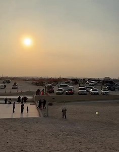 16K views · 945 reactions | The Tree of Life blooms with Bahrain...