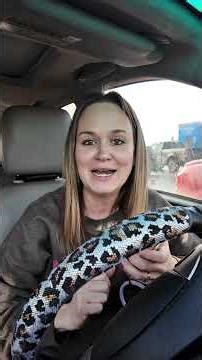 I would love to hear some suggestions of what kind of car I should get and why! Xoxo #maine #toyota