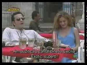 Perro Amor Colombia 28 1/3
