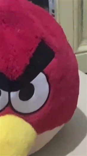 Bunny meets Angry Birds toy then dinner time 🐰🍽️ MERA e INVICTOR #shorts