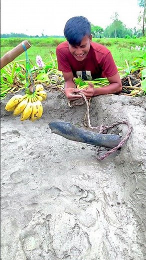 New technique to catch snakes with bananas