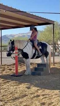 Maggie the Gypsy Vanner: First Ride