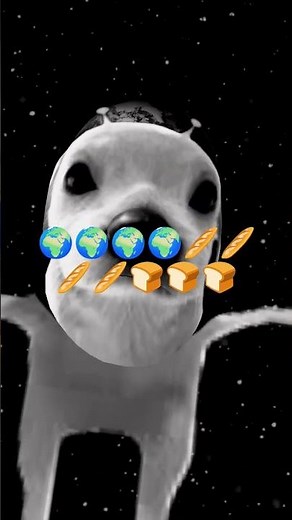 22 de noviembre de 2025