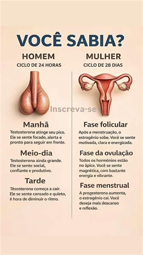 😨🚨 Você sabia como funciona o ciclo? Leia a descrição