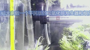 如何制作一个平民版的二氧化碳发生器和细化器