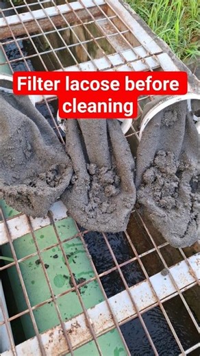 Tips Rawat Chiller: Cuci Lacos Filter Condenser! #caracaratipstriktutorial #ytshorts