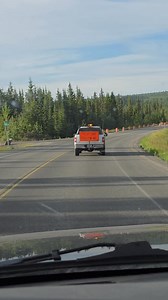 38K views · 342 reactions | I can't belive this job pays over 50 bucks and hour just to drive.  | NuttyNu | Facebook