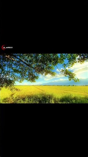 Cenimatic Edit Vilage Natur 🔥#villagelife #shorts