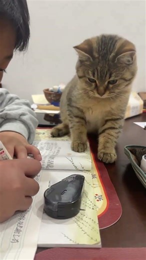 Do Other Families Pay for Homework? Ours Does