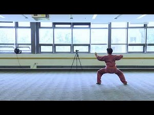 Chen Style Taichi 18 Forms (back) by Yijiao Hong 陈正雷宗师入室弟子洪一姣陈氏太极18式