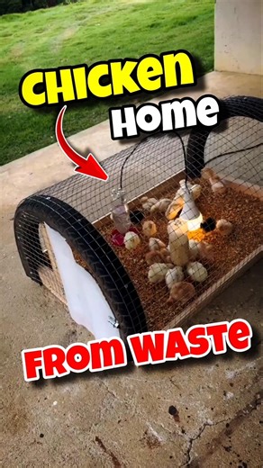 Genius DIY Chicken Home from Waste! 🐣