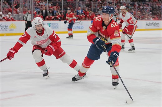 Line Combinations: Red Wings at Panthers