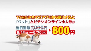 【ＴＯＨＯシネマズアプリ限定タイムセール！！】 6/30（木）までの期間、映画「ペット」のムビチケオンライン小人券が、ＴＯＨＯシネマズアプリ限定で、通常小人当日料金1,000円のところ、なんと800円で購入できます！！！！ ＴＯＨＯシネマズ公式アプリをダウンロードして、映画「ペット」をおトクに見よう！！ ▼アプリのダウンロードはこちら(App Store)▼ http://tcm.eng.mg/c3b3b ▼アプリのダウンロードはこちら(Google play)▼ http://tcm.eng.mg/5267b | TOHOシネマズマガジン編集室