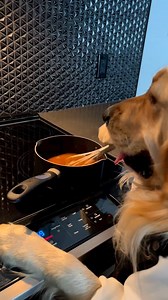 52K views · 2.7K reactions | im done poutine up with mahms cooking...#poutinelove #cooking #homemade #homemadefood | Cooking With Badger | Facebook