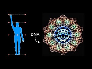 HOW Sacred Geometry is embedded in YOUR DNA!