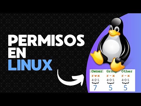 Cómo Dominar los PERMISOS en LINUX: Explicación TOTAL!